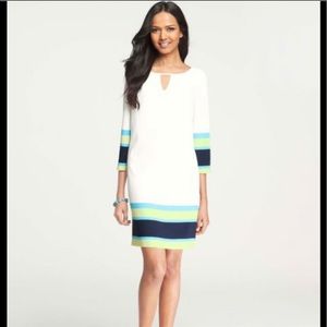 Ann Taylor Shift Dress